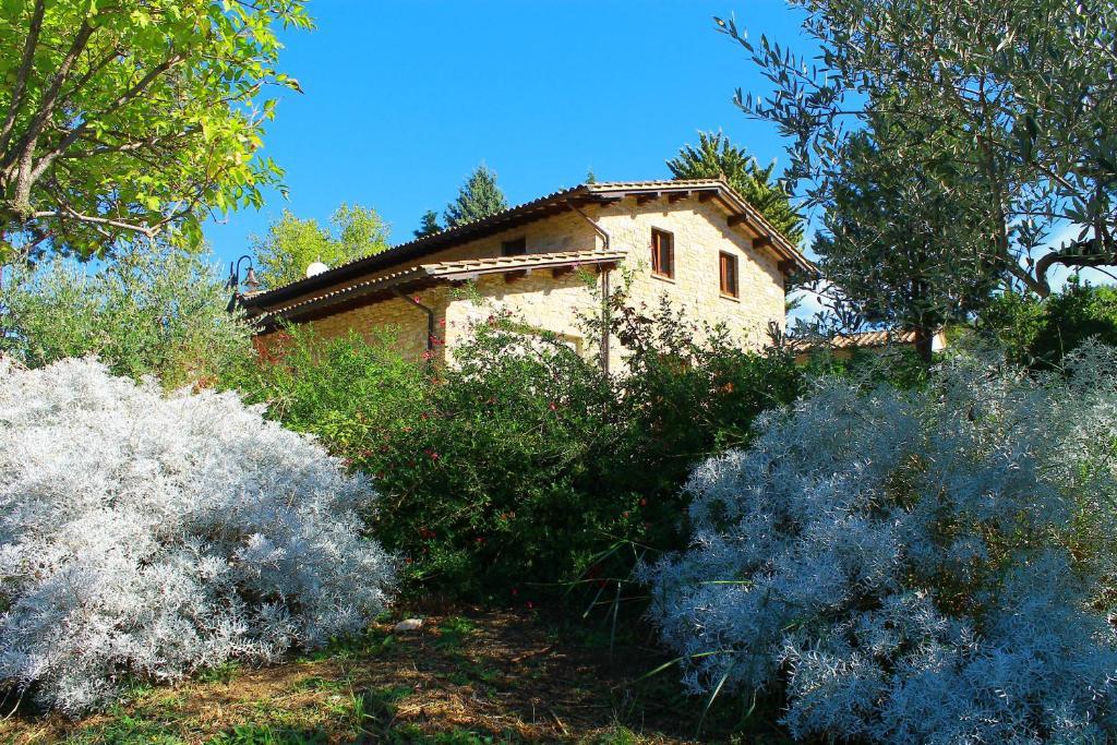 Antica Fonte Guest House Асизи Екстериор снимка