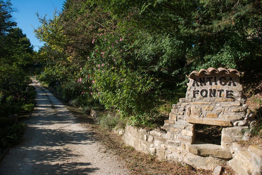 Antica Fonte Guest House Асизи Екстериор снимка