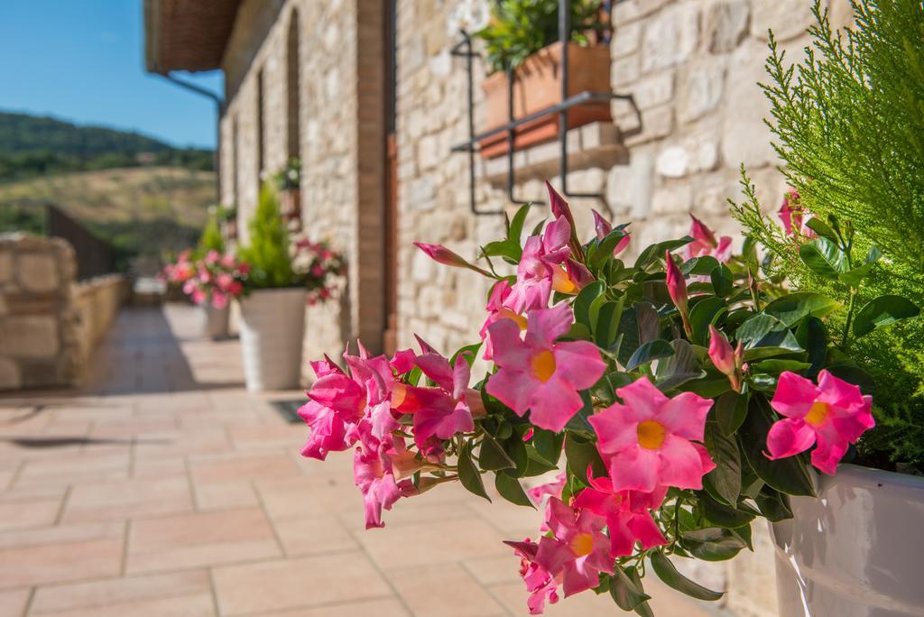 Antica Fonte Guest House Асизи Екстериор снимка